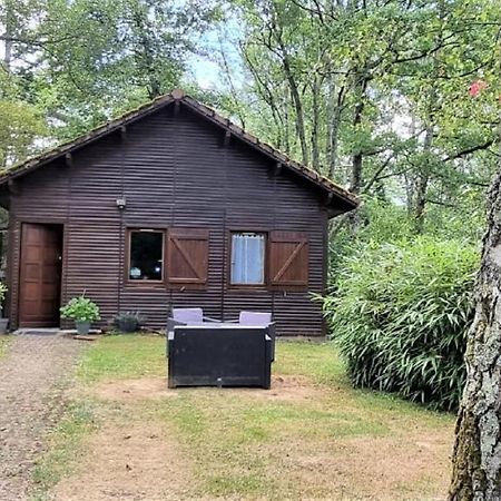 Weir Cottage Balledent Exterior foto
