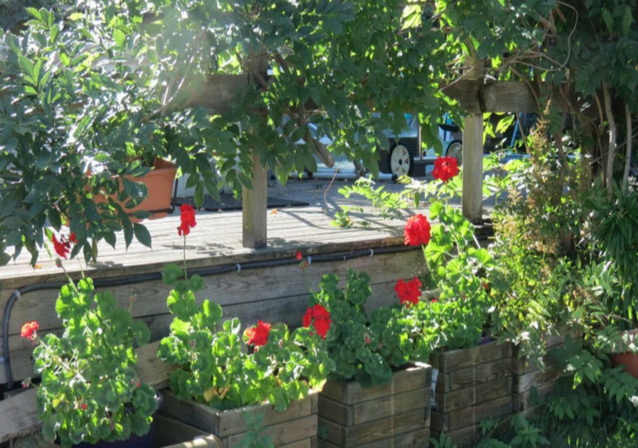 Weir Cottage Balledent Exterior foto